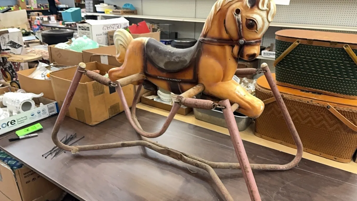 Wonder horse