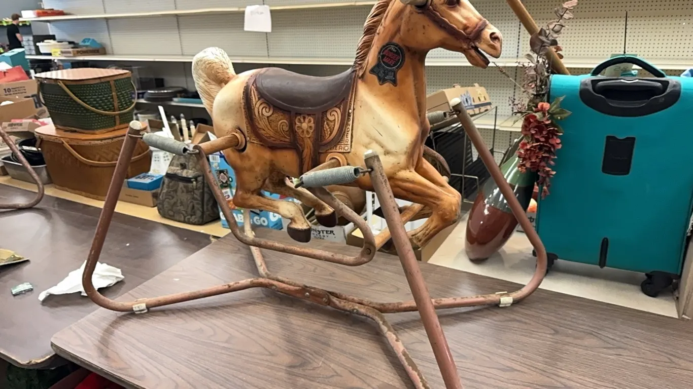 Wonder horse