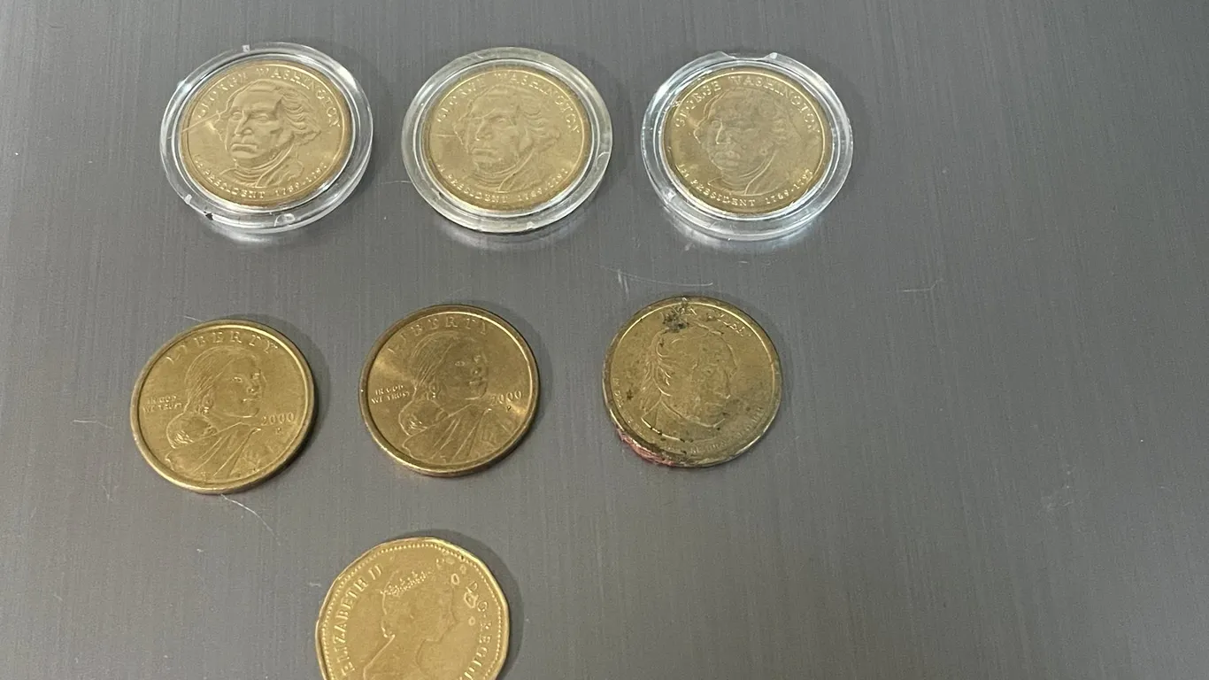 (7) $1 Coins