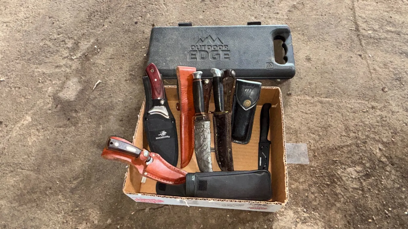 Assortment of Hunting Knives