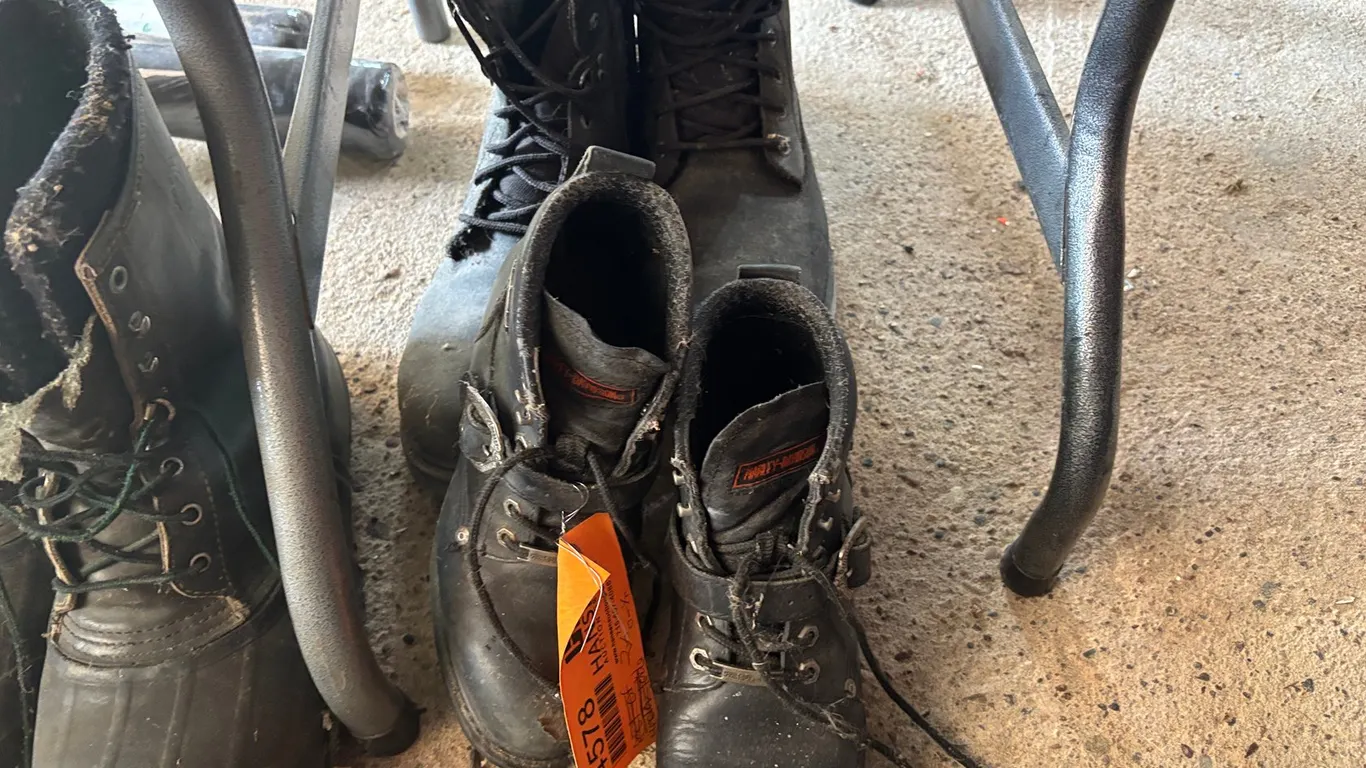 (2) Boots