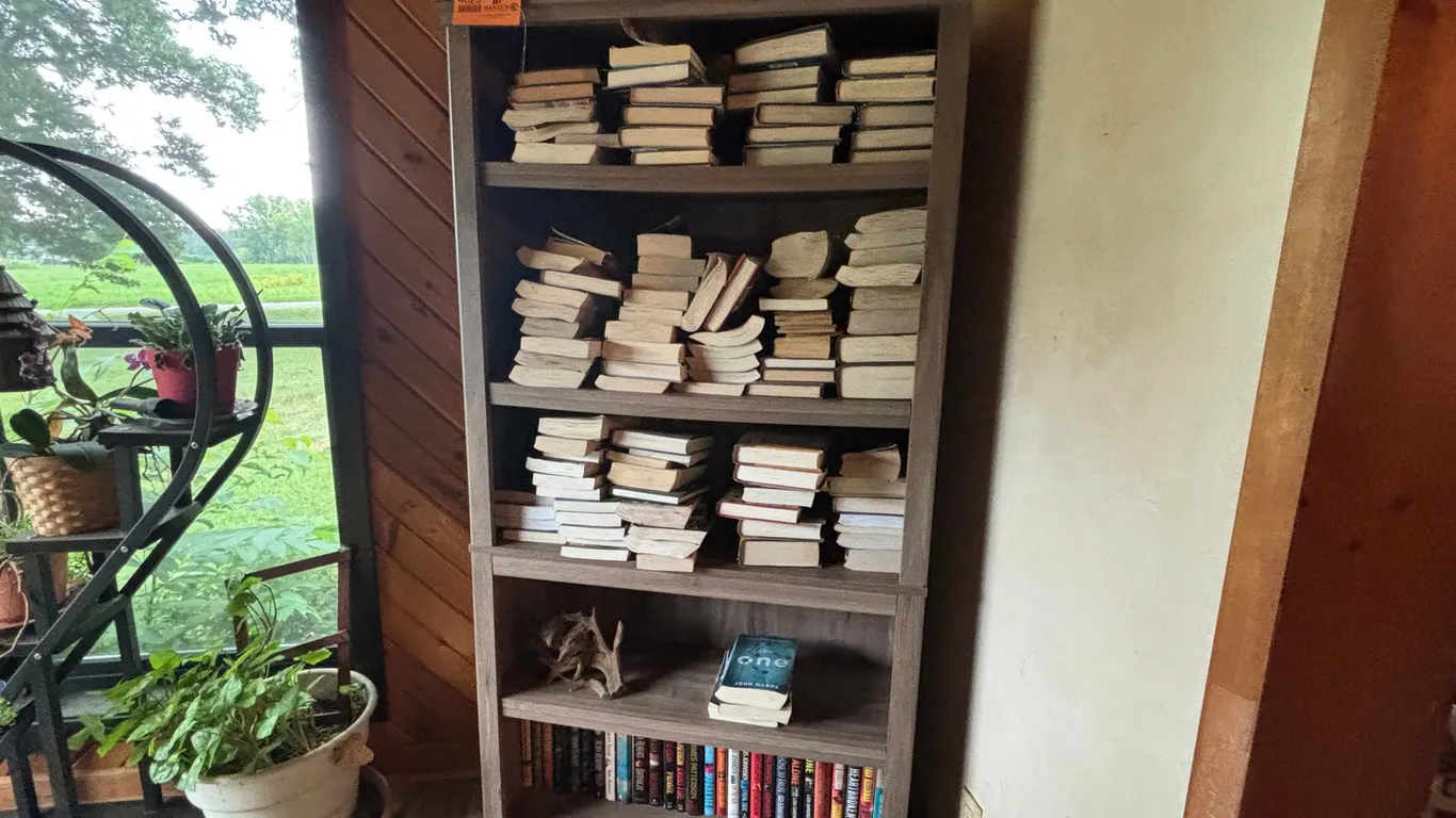 Bookshelf with Books