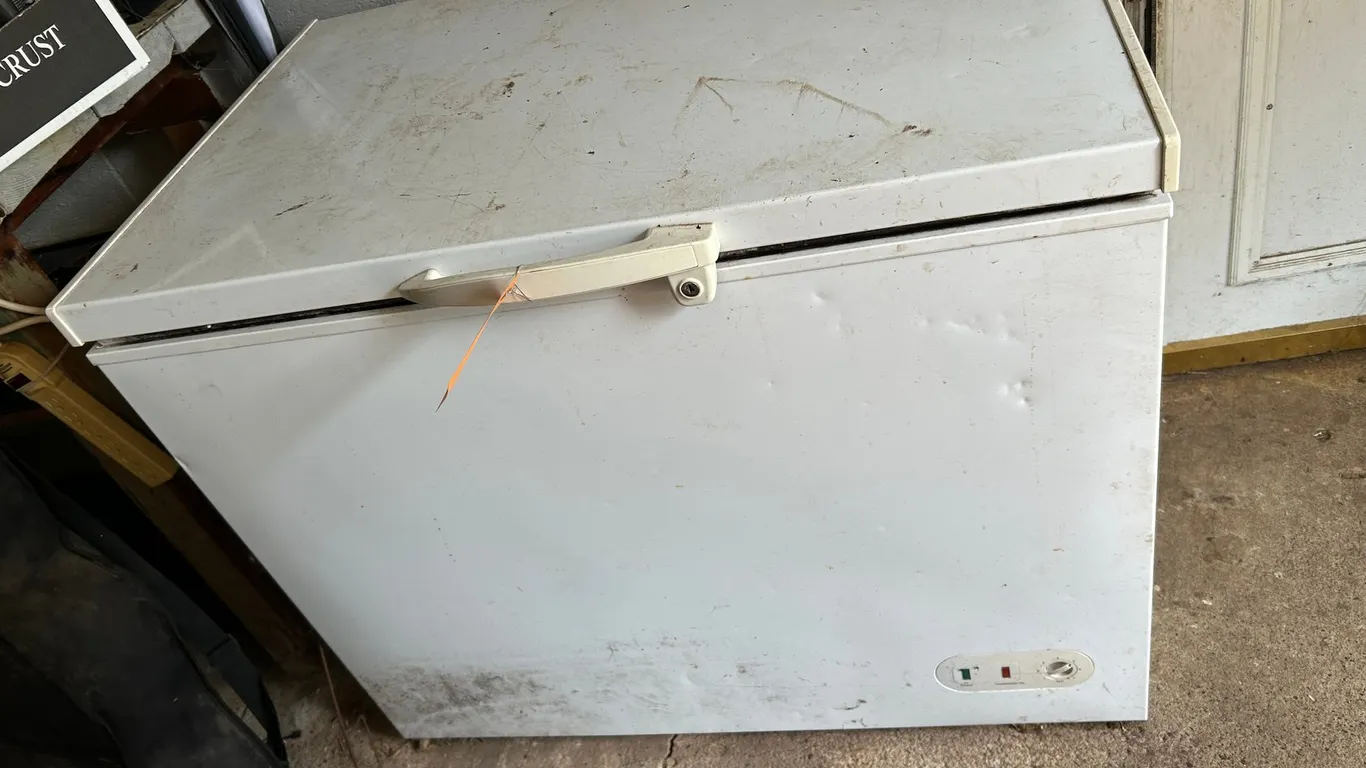 Chest Freezer