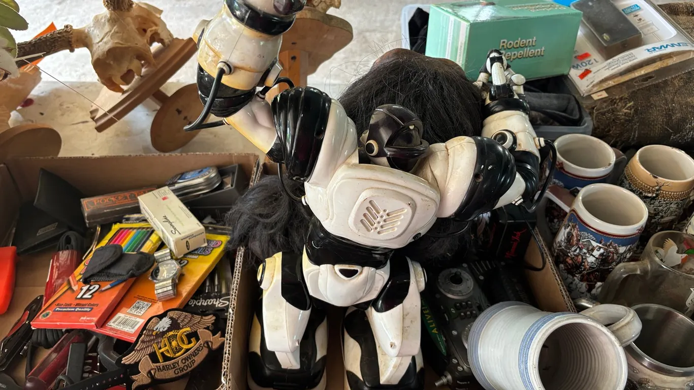 Toys and Collectible Items