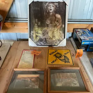 (2) Signs and (3) Pictures