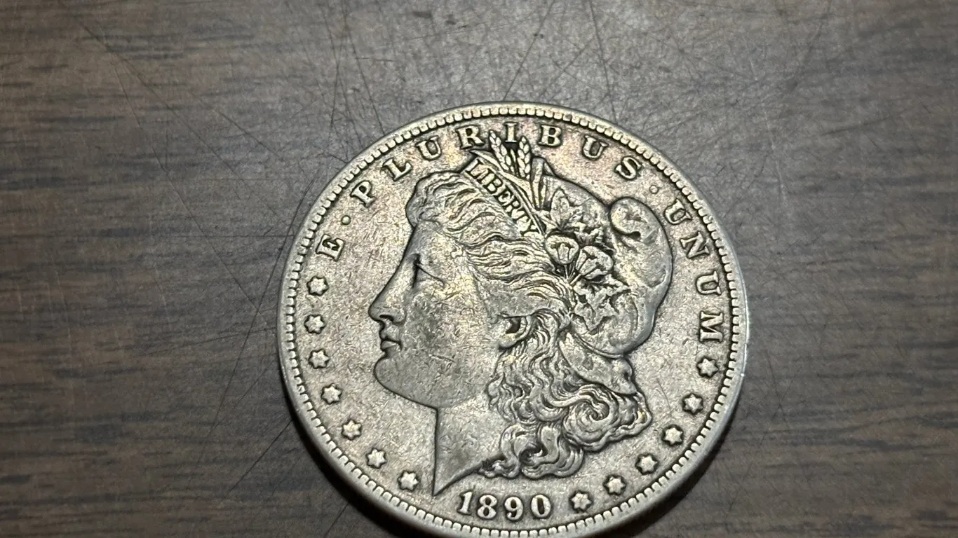 Silver Dollar