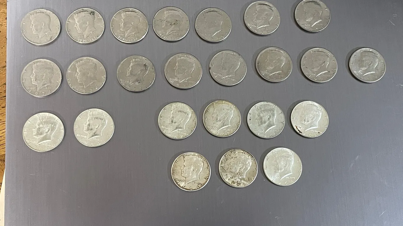(24) US Half Dollars