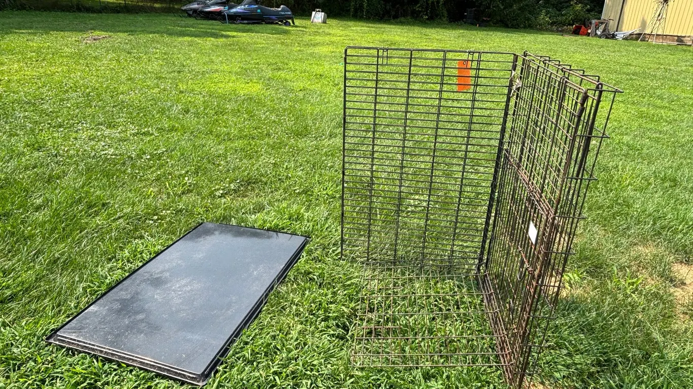 Dog Kennel