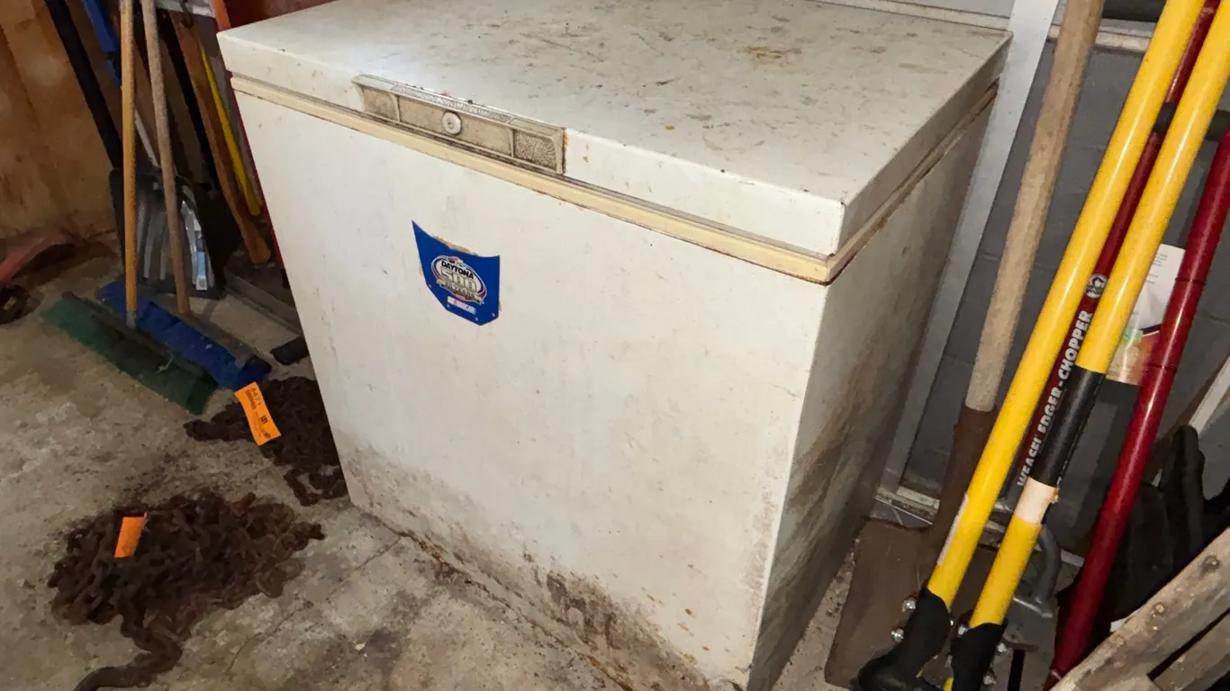 Chest Freezer