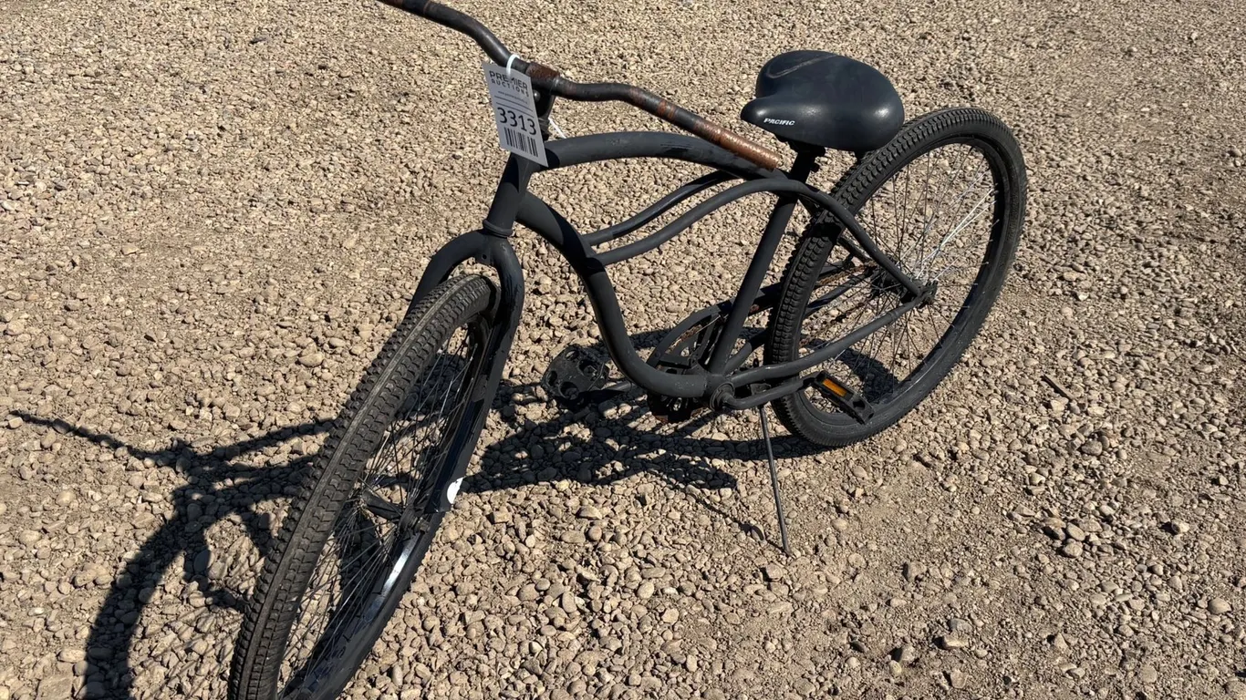 Adult Bike