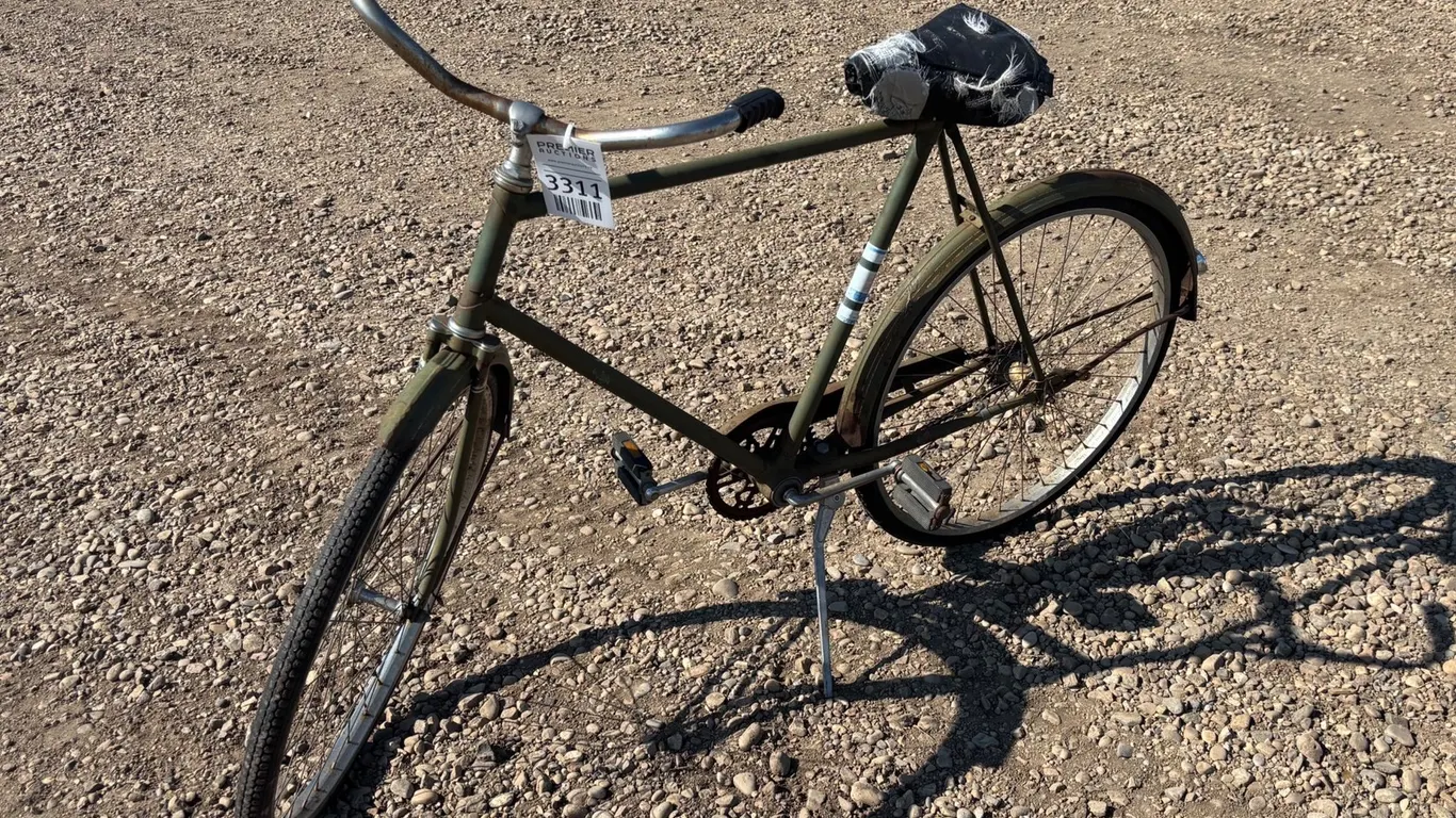 Adult Bike