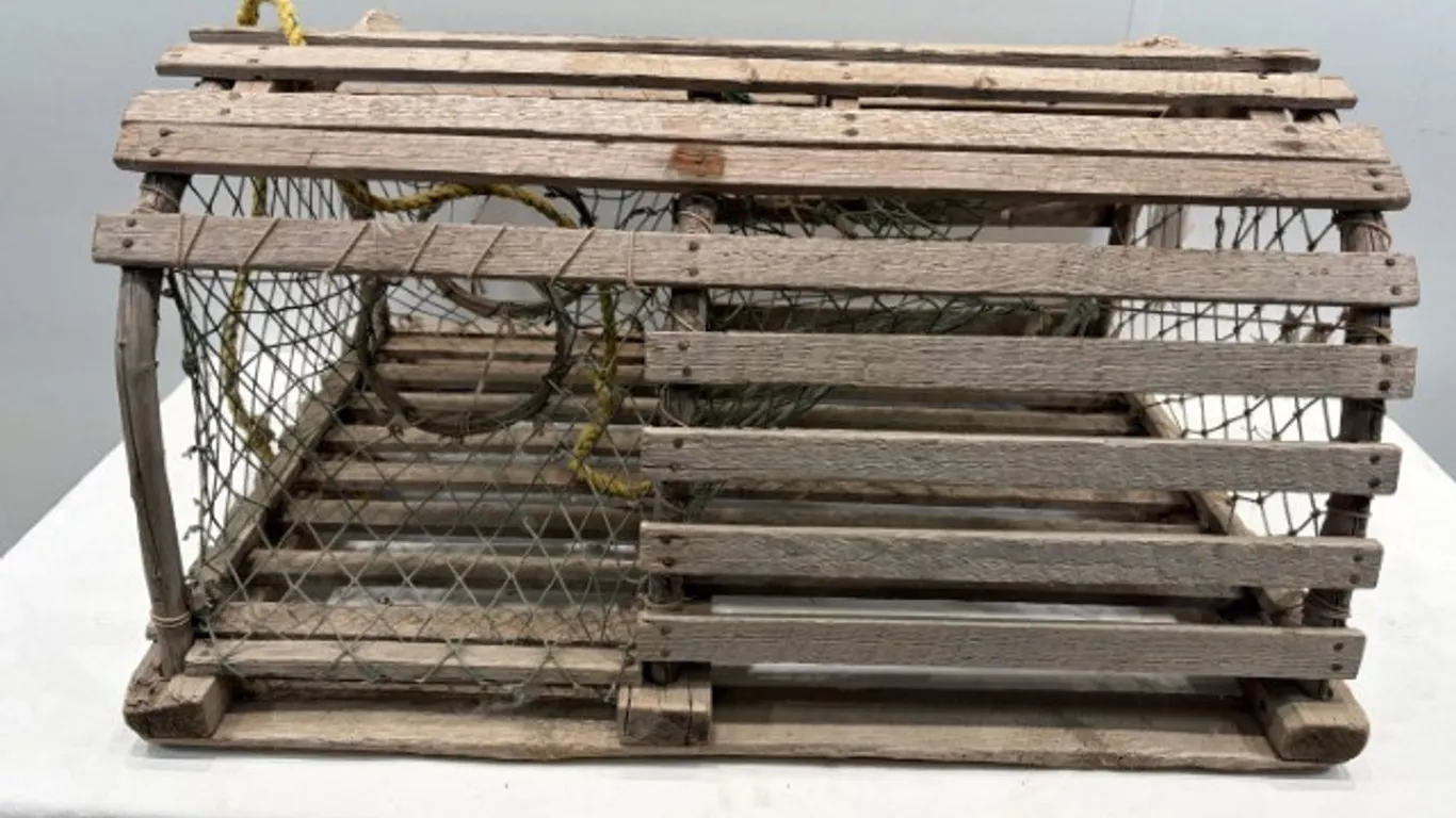 Flat-Top Lobster Cage