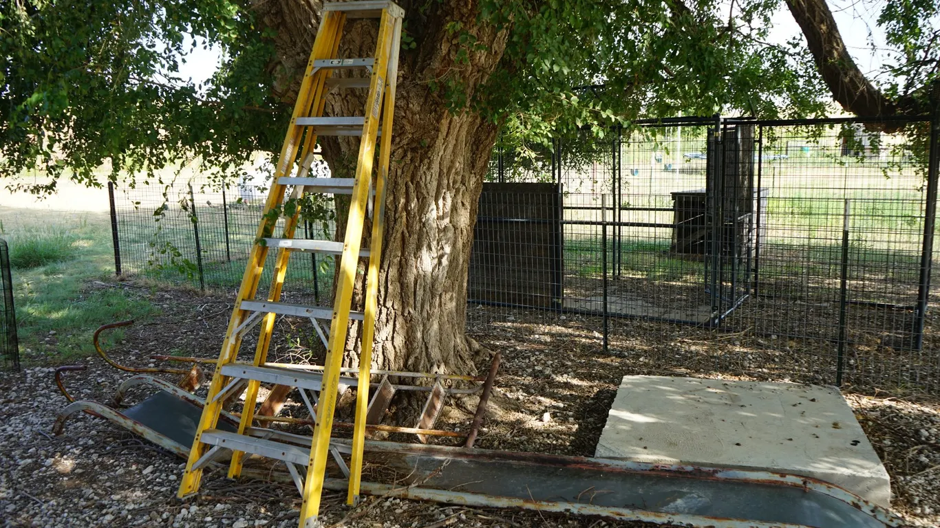 8' Werner Ladder with Metal Slide & Metal Ladder