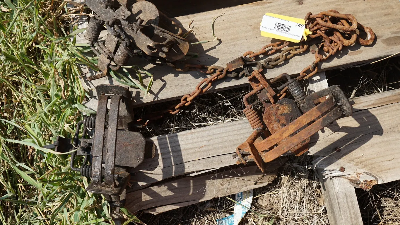 3 Vintage Animal Foot Traps