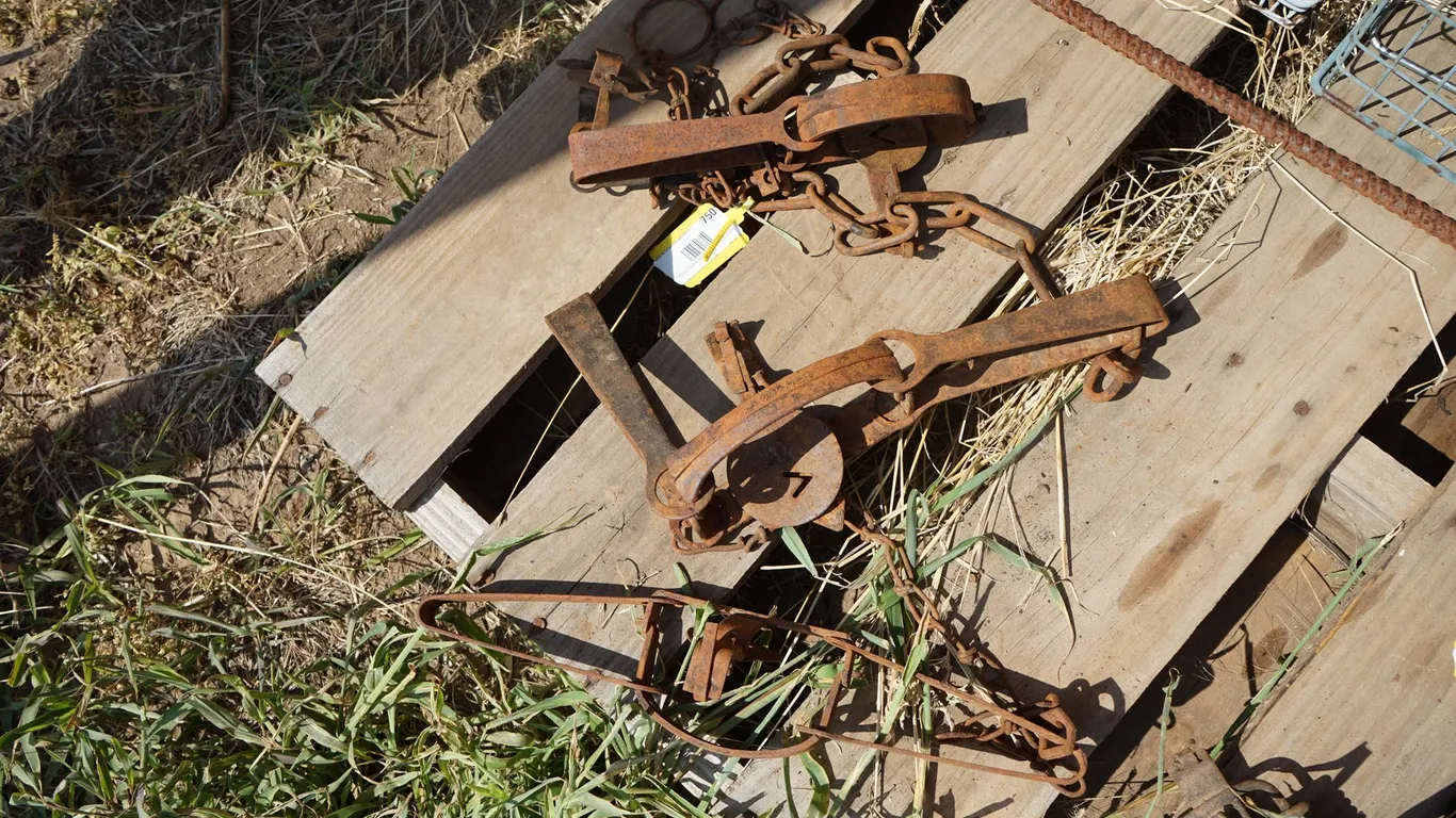 4 Vintage Animal Foot Traps