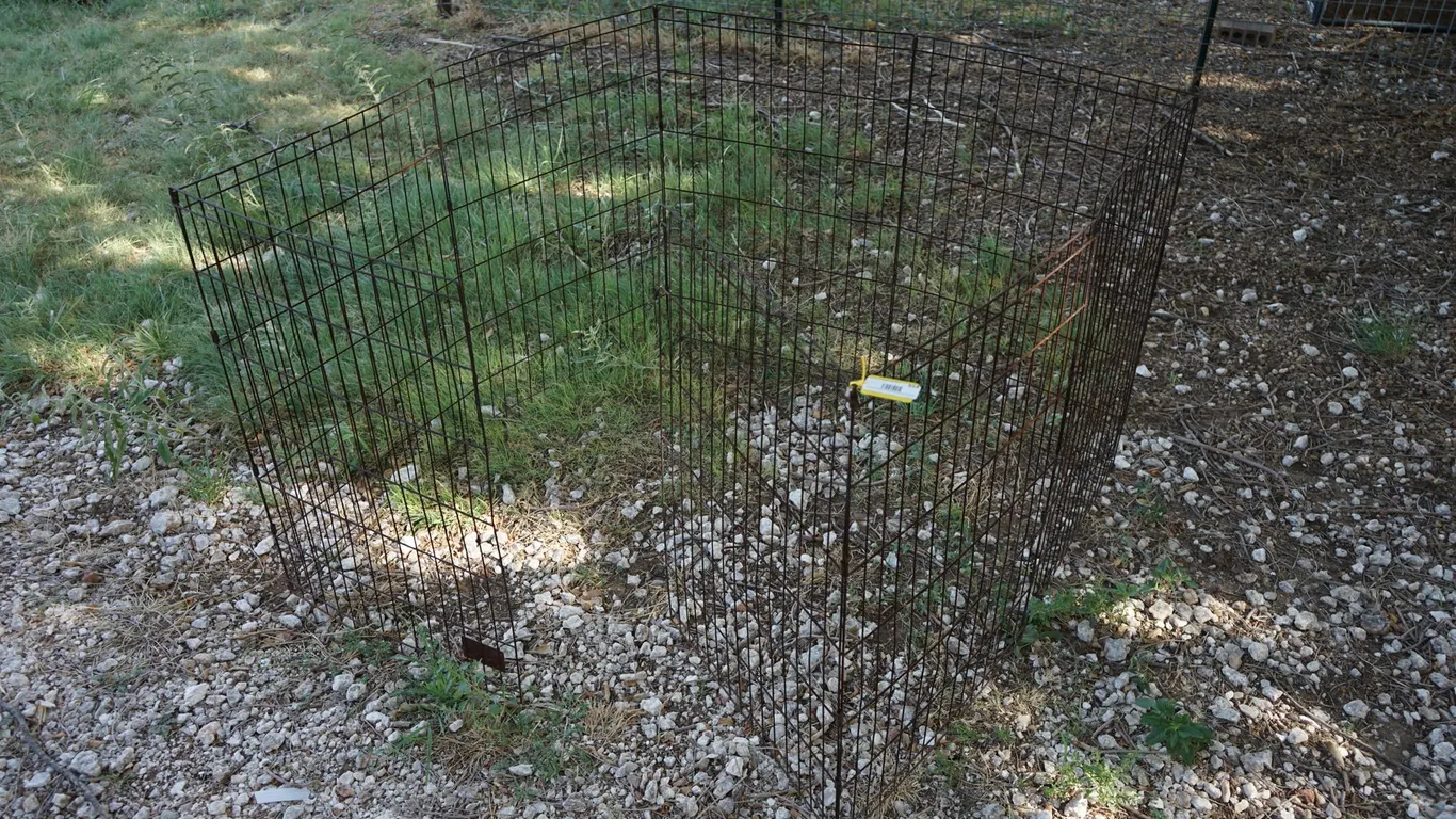 Portable 3' Tall Folding Animal Cage