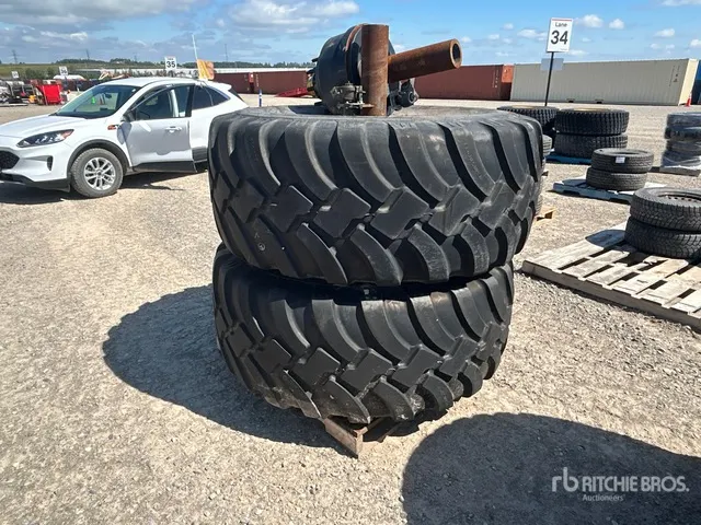 Quantity of (2) BKT 650/65R30.5 Tires