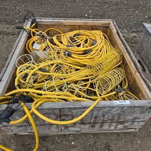 Temporary String Light Sets & Wire Guards
 UNRESERVED
