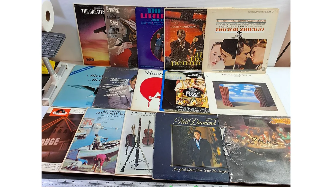 (15) Vinyl Records