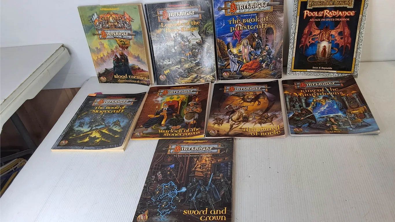 (9) Dungeons & Dragons Birthright Books