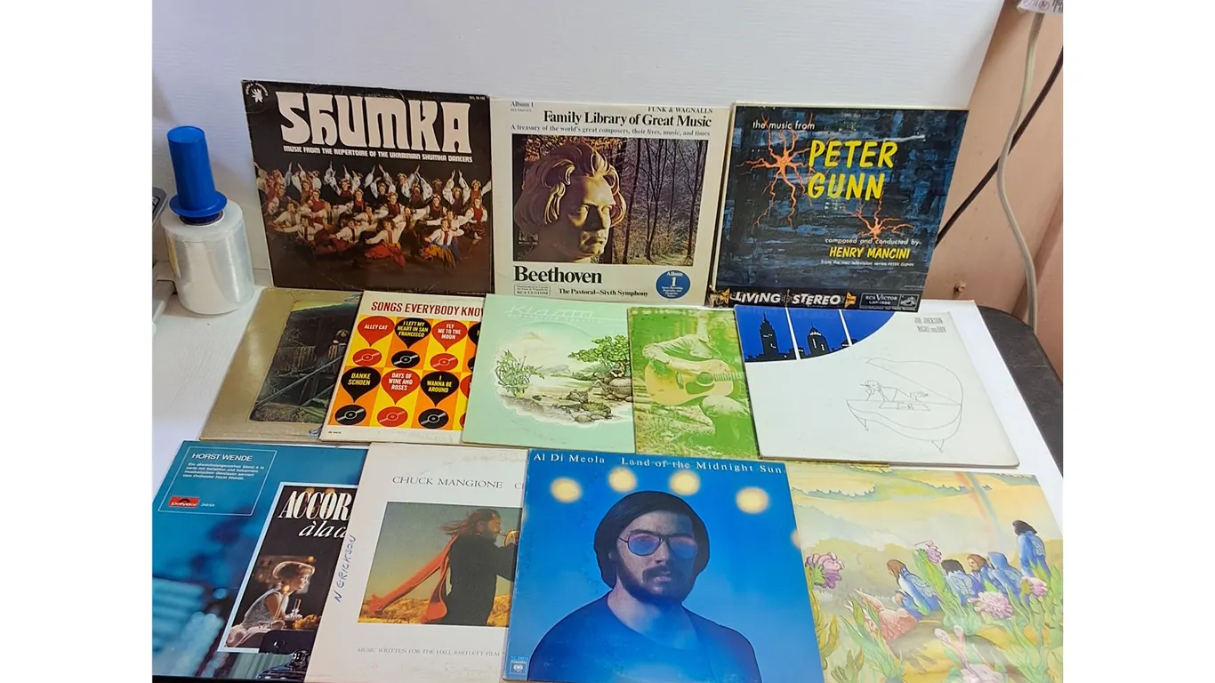 (12) Vinyl Records - Beethoven, Joe Jackson, Skumka