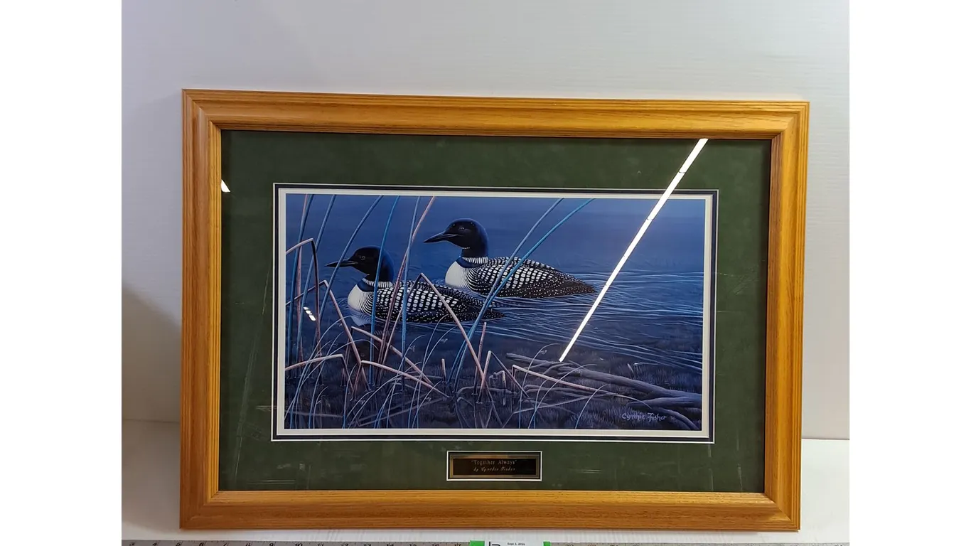 Framed Picture Of Ducks "Together Always" By Cynthia Fisher 20"x28"