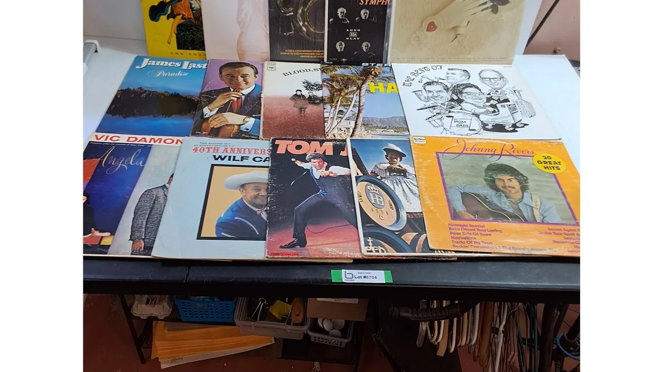 (15) Assorted Vinyl Records