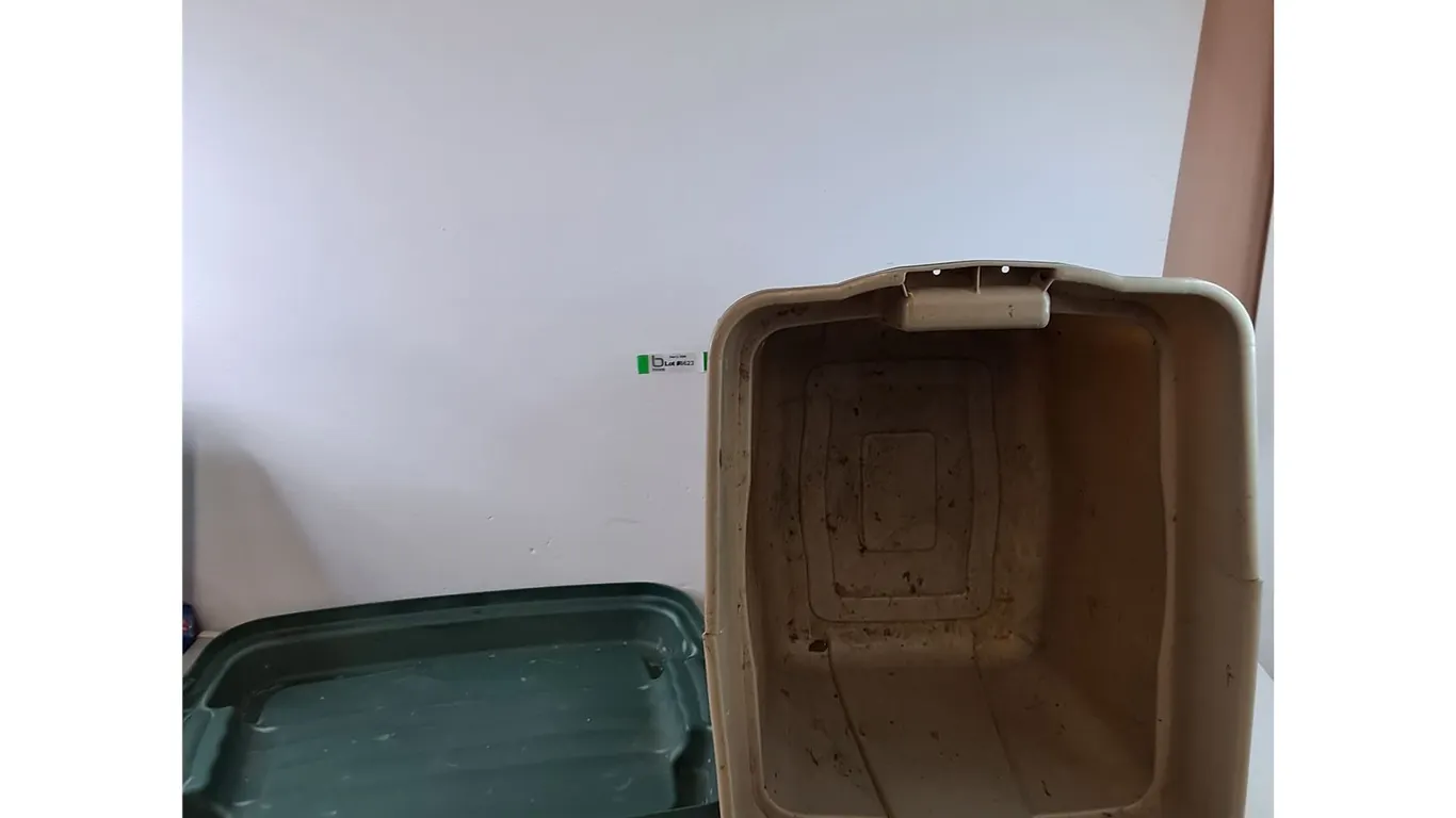 **Beige Rubbermaid Tote Bin, Green Lid No Shipping