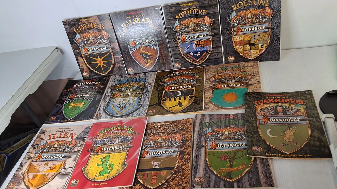 (13) Dungeons & Dragons Birthright Books