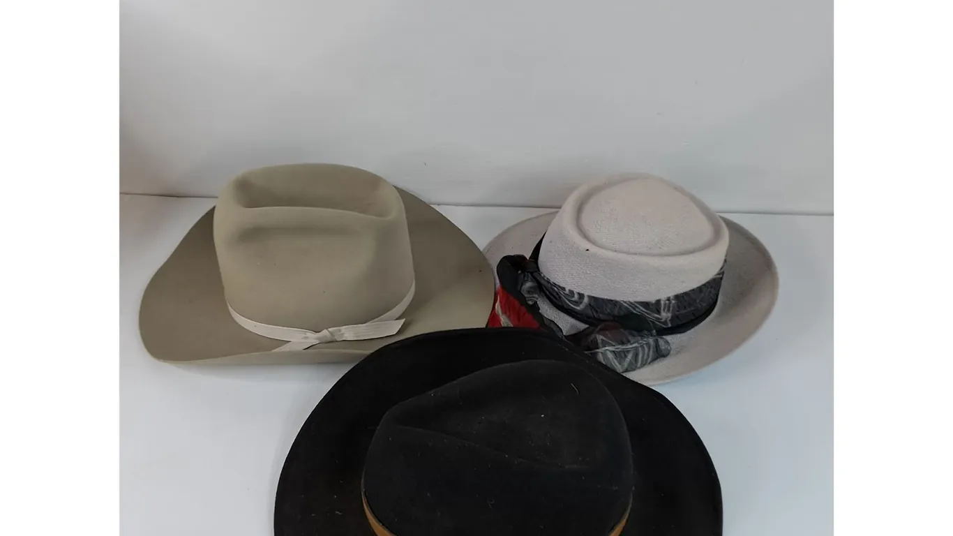(3) Women's Hats