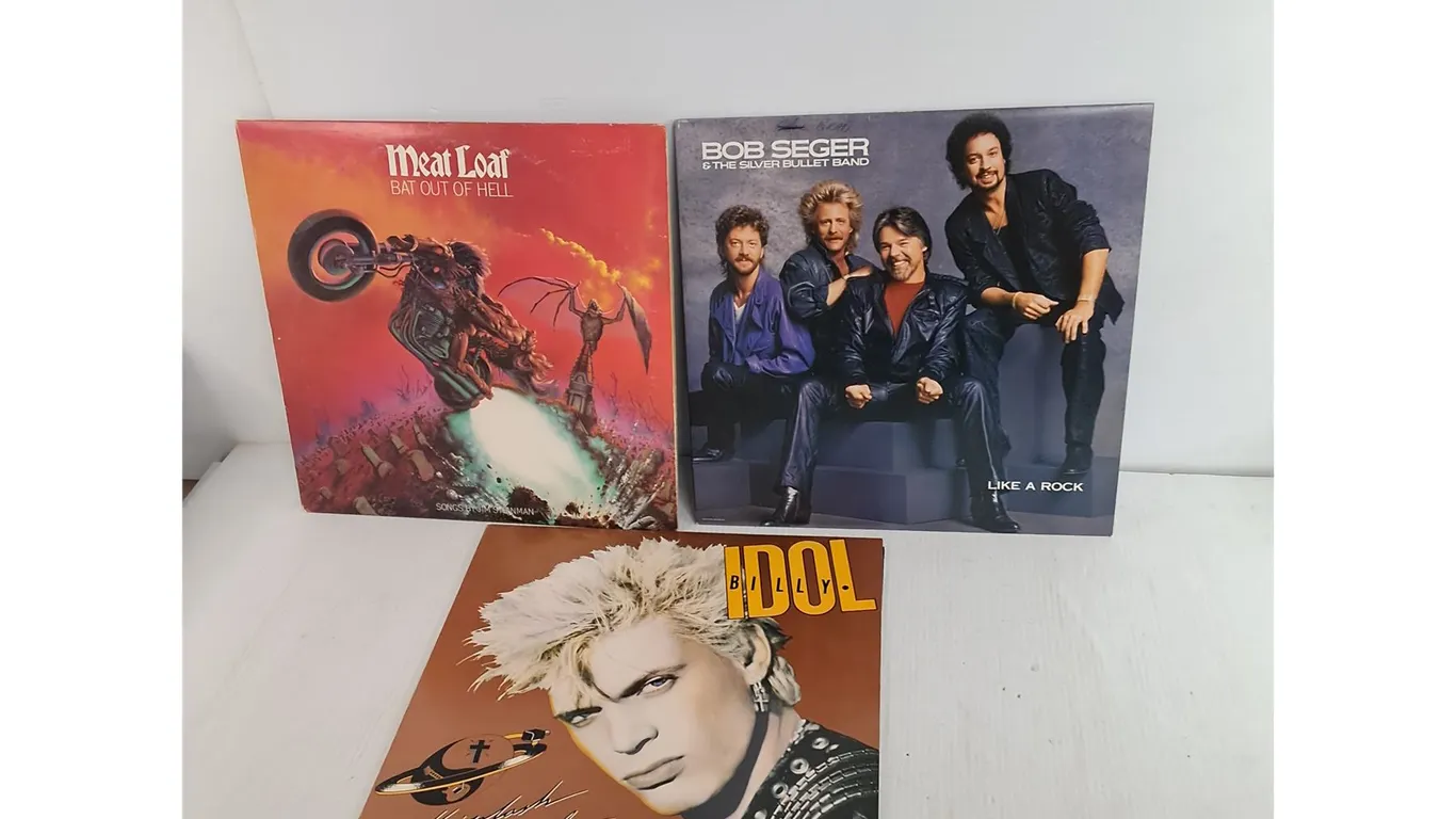 (3) Records- Billy Idol, Meat Loaf, Bob Seger