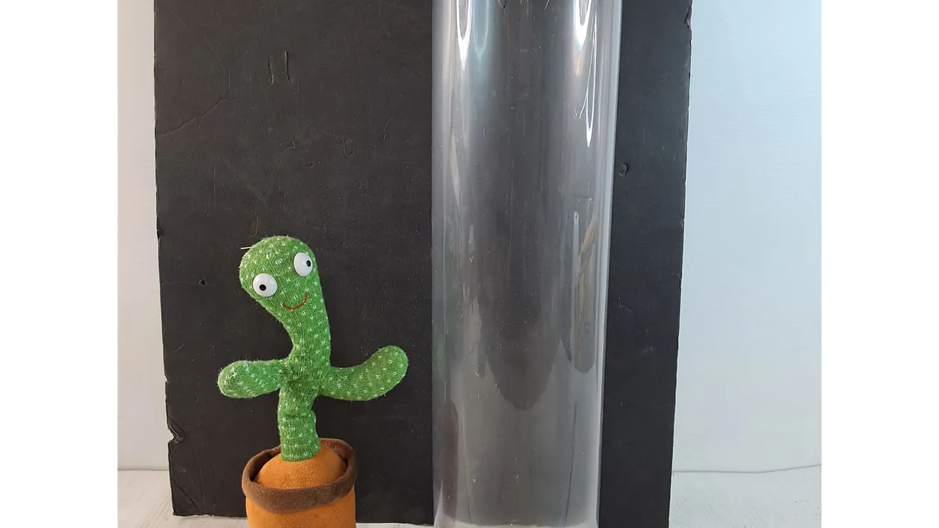 Large Glass Vase, Dancing Cactus Toy