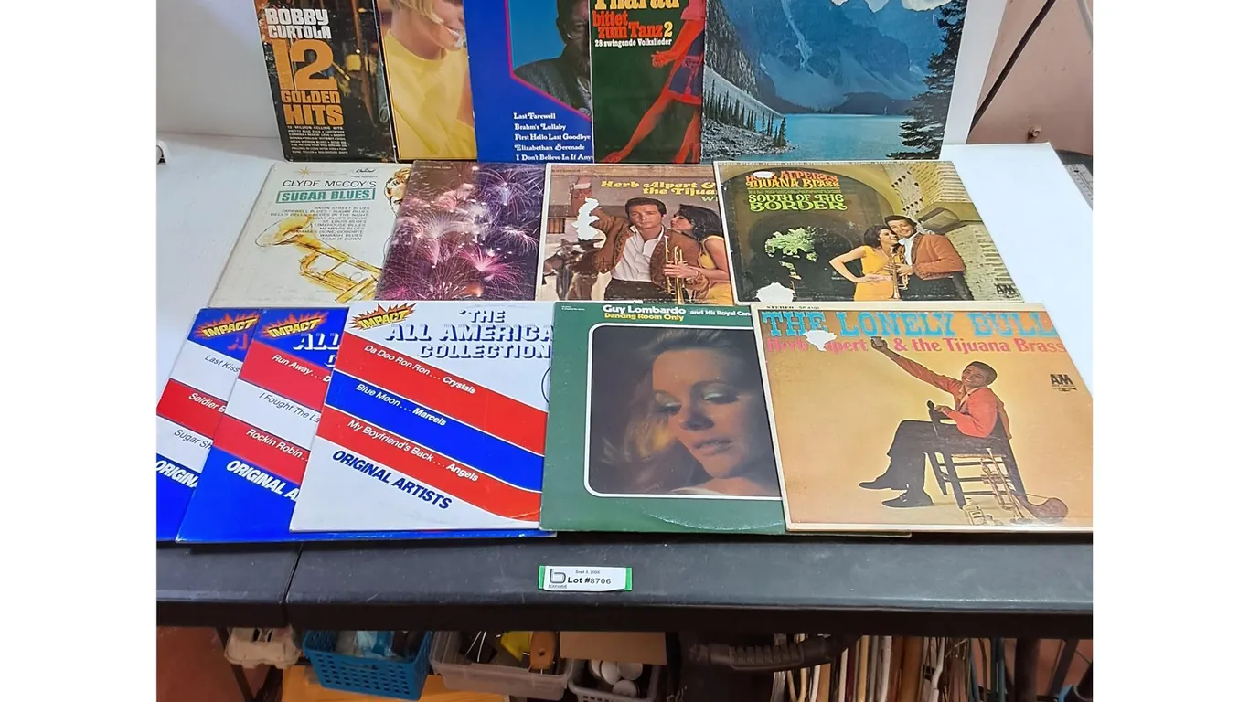 (14) Assorted Vinyls - Bobby Curtola, James Last, Guy Lombardo