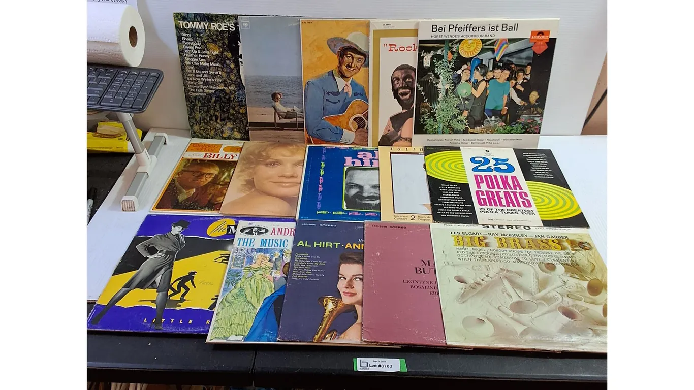 (15) Assorted Vinyl Records