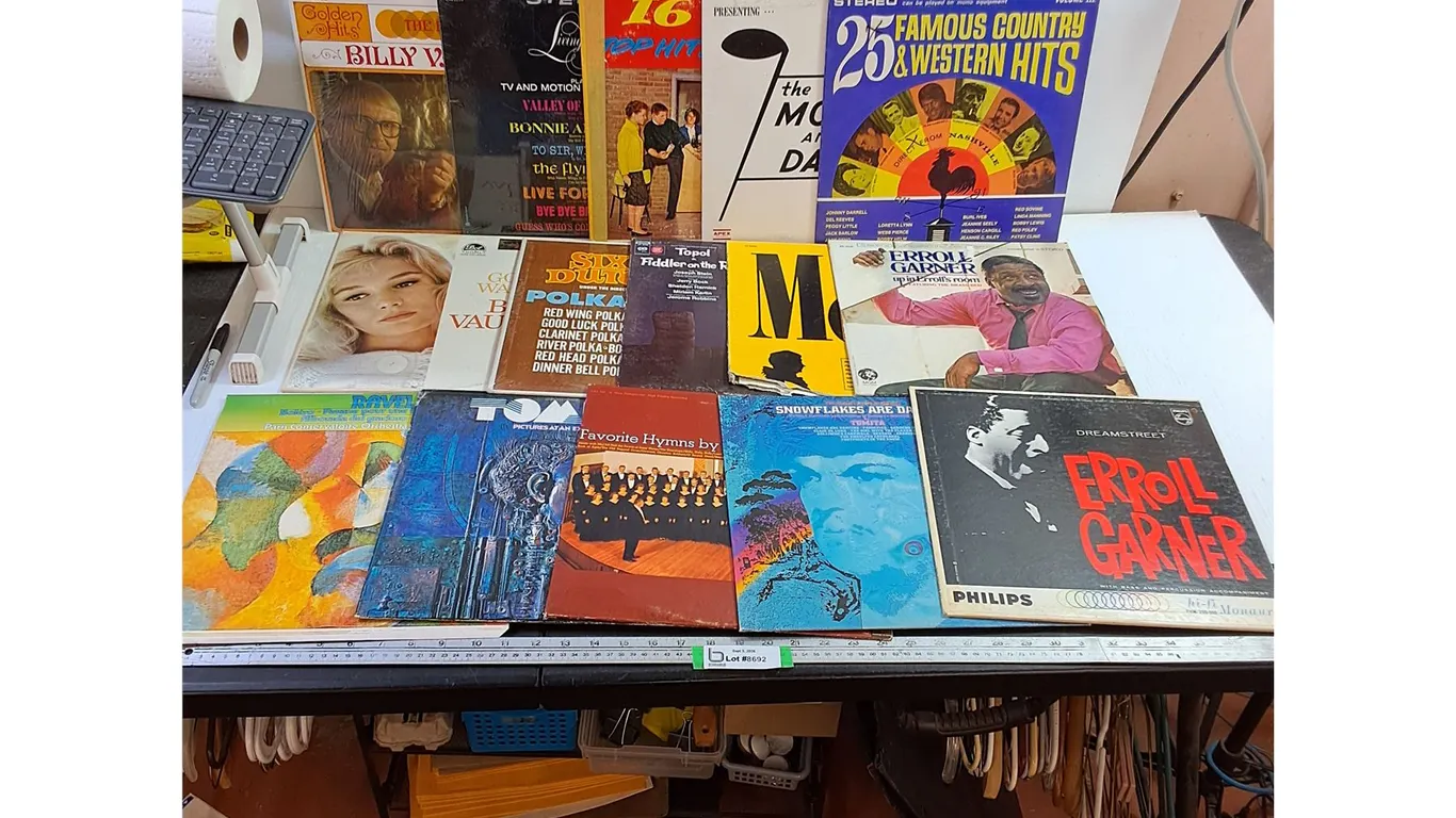 (15) Vinyl Records
