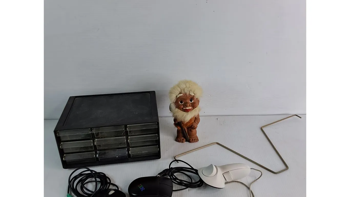 Plastic Organizer 9"x6.5"x5", Cave Man Figurine 7", (2) Computer Mouse, Misc