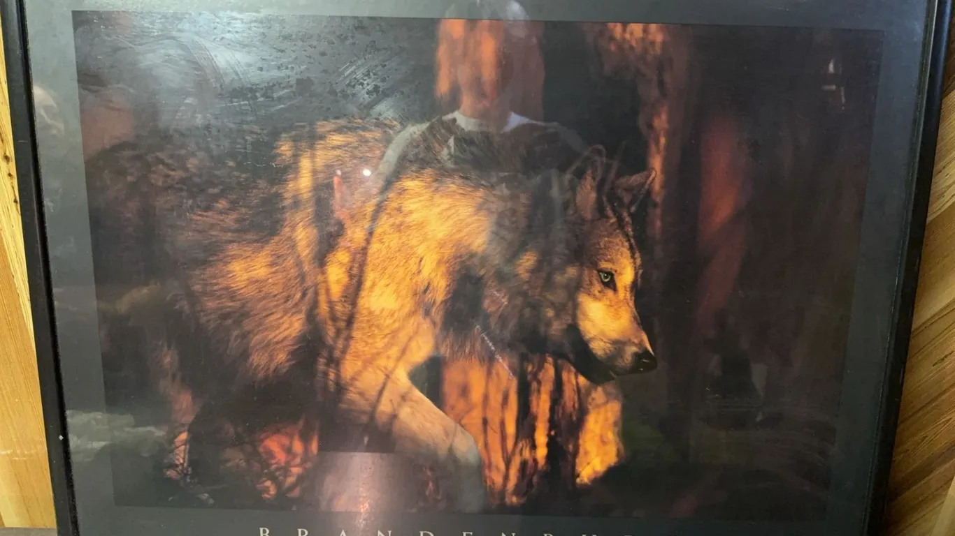 Brandenburg "Wolf Spirit of the Sacred Forest" Framed Poster 33x25
