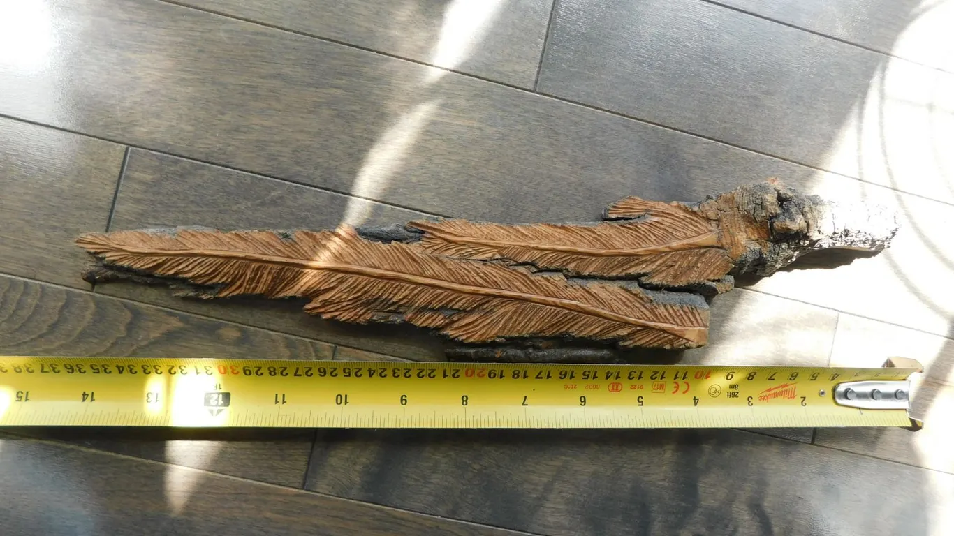 CARVED CEREMONIAL FEATHERS, SIGNED