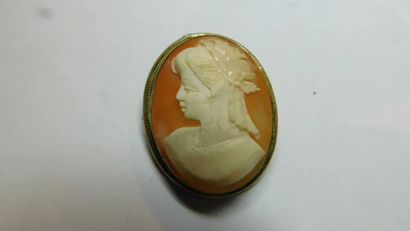 SILVERTONE CAMEO SHELL BROACH