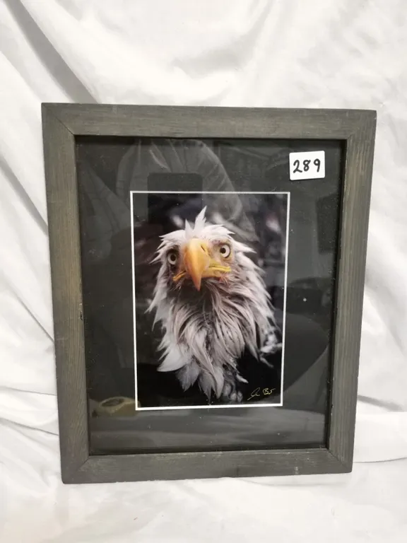 Jason Leo Bantle Framed Photograph – “Bad Day”