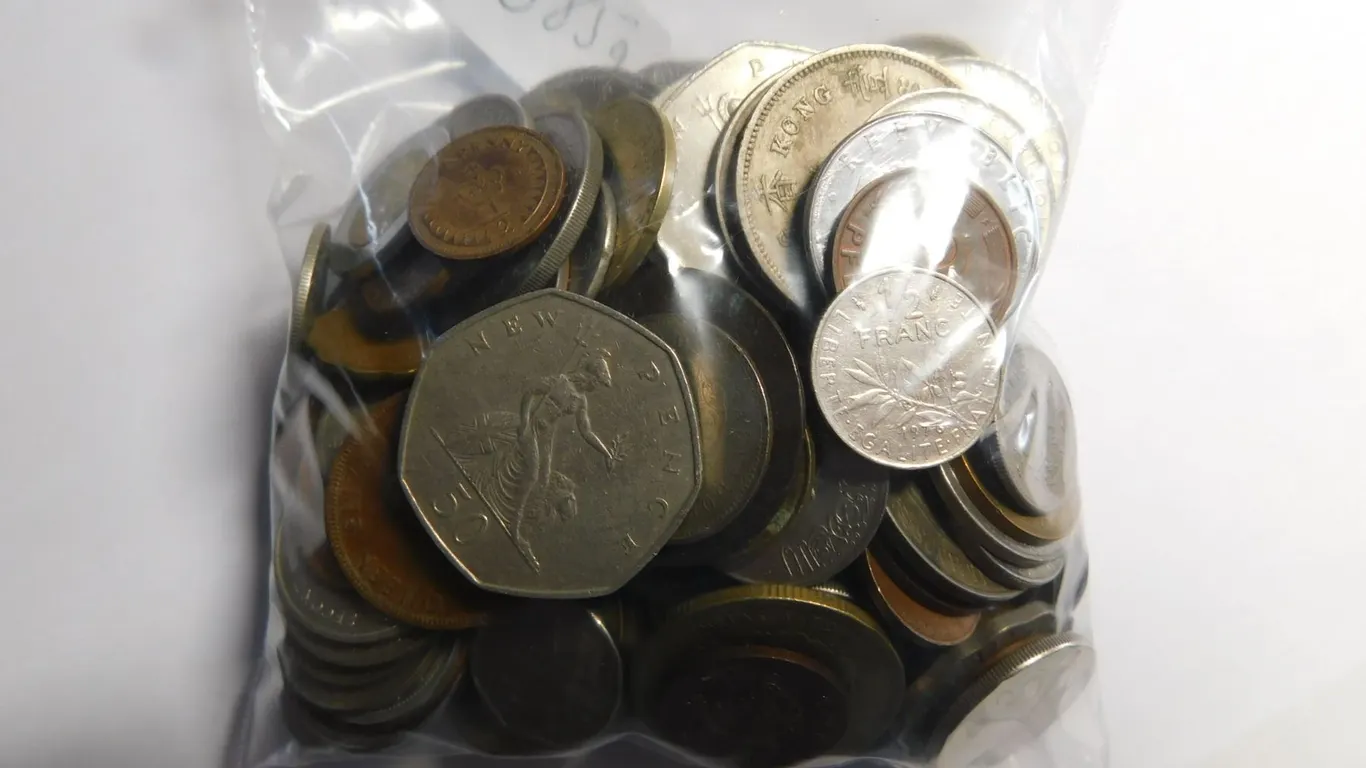 BAG OF FOREIGN COINS 680G