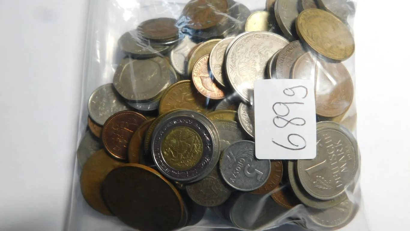 BAG OF FOREIGN COINS 680G