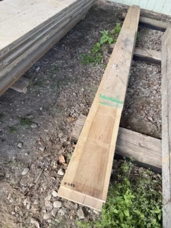 4 pcs of Tulip Wood