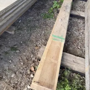 4 pcs of Tulip Wood