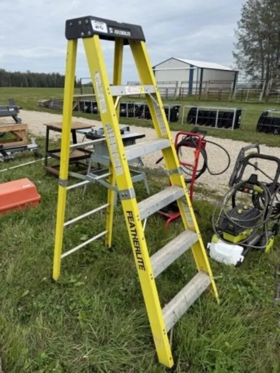 Featherlite 6' Step Ladder