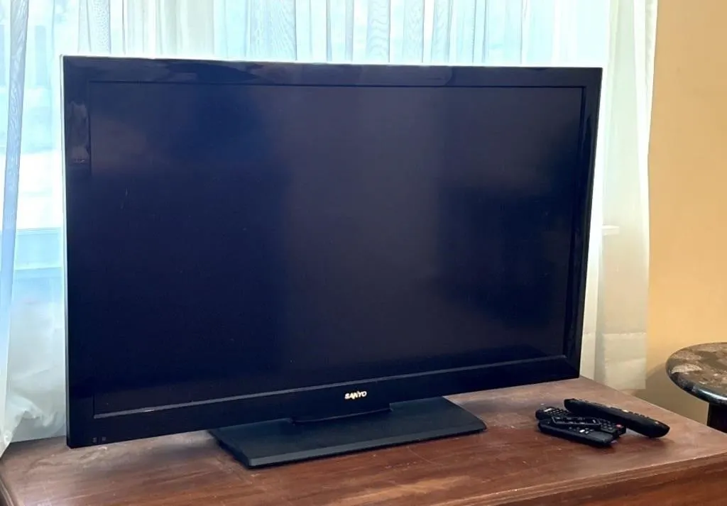 Samsung 46” Flatscreen Television