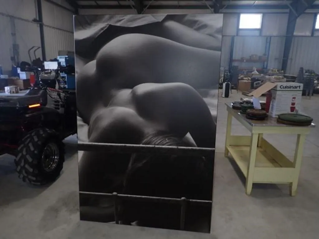 69 In. x 45 In. Picture