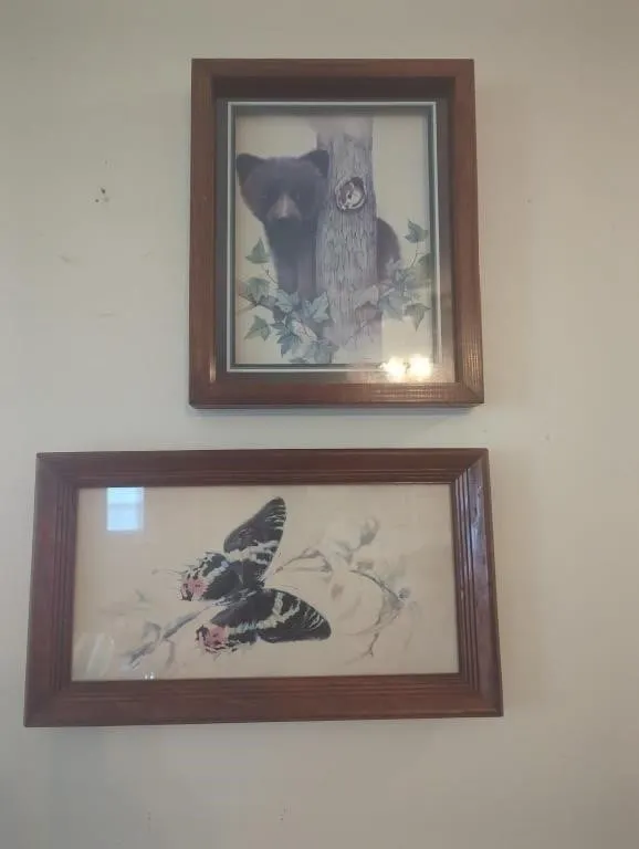 Bear and butterfly pictures in wood frames
