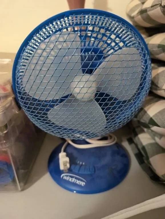 Small fan