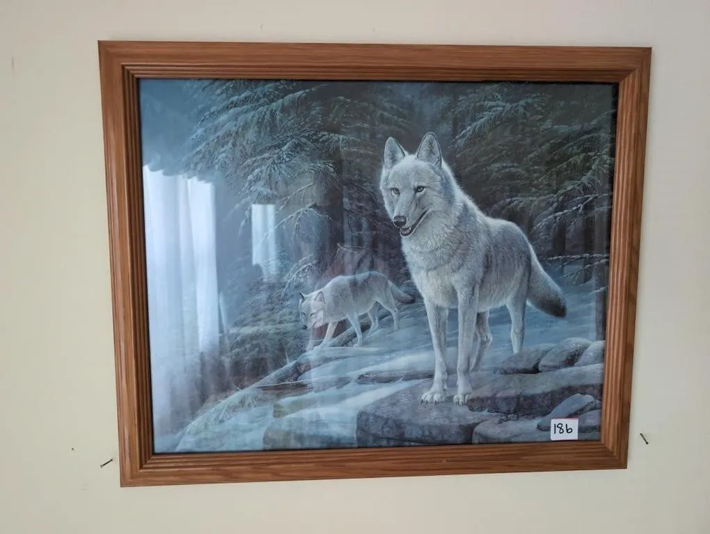 Wolf picture
